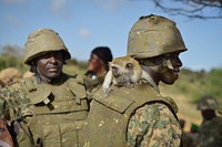 An orphaned monkey sits on the back of an African Union soldier at a military base on the road to Kismayo near the town of Barawe, Somalia, on August 22, 2016.