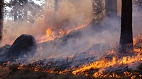 Thomas Mountain wildfire in the San Jacinto Mountains. Original public domain image from Flickr