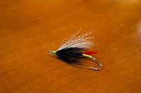 Recreation on the "Wild and Scenic" north Umpqua River