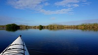 Turner River marsh. Original public domain image from Flickr