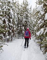 Skier on trail to Fairy Fall by Diane Renkin. Original public domain image from Flickr