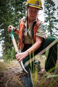 US Forest Service Ranger working in Field, Fremont Winema National Forest. Original public domain image from Flickr