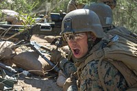 U.S. Marine Corps Pfc. Caleb Roberts, Delta Company, Infantry Training Battalion, School of Infantry West, participates in a live fire field training exercise at range 208-C on Camp Pendleton, Calif., Feb. 23, 2017. (U.S. Marine Corps photo by Lance Cpl. Brooke Woods). Original public domain image from <a href="https://www.flickr.com/photos/39955793@N07/32784280970/" target="_blank">Flickr</a>