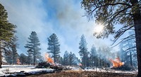 U.S. Department of Agriculture (USDA) Forest Service (USFS) Kaibab National Forest fire personnel Brandon Oberhardt, Quentin Ford and Chantel Herrick lead the pile burning operation at the Kaibab National Forest, Tusayan Ranger District, Flying J project area in Arizona, on Dec 3, 2018.