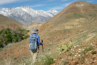 Woman hiking in nature. Original public domain image from Flickr