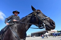 Clifford Fisher, a mounted reserve deputy for the Richland County Sherriff’s Department, watches over the public during the South Carolina National Guard Air and Ground Expo at McEntire Joint National Guard Base, South Carolina, May 6, 2017.