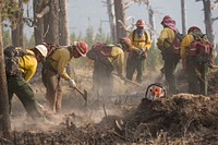 Cougar Creek Fire, Okanogan-Wenatchee NF, WA, 2018. Original public domain image from Flickr