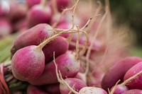 Radishes from Loblolly Organic Farm at the U.S. Department of Agriculture (USDA) Farmers Market in Washington, D.C., on June 29, 2017.