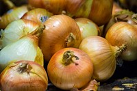 Workers processing Vidallai Onions at Bland Farms in Glennville, Georgia, June 20, 2017. USDA photo by Preston Keres. Original public domain image from Flickr