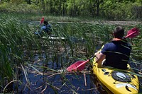 Braddock Bay - Monitoring of Native Species