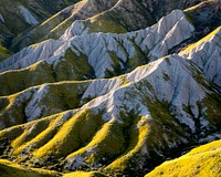 Carrizo Plain National Monument is one of the best kept secrets in California.