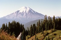 Gifford Pinchot National Forest, pre-eruptive Mt St Helens. Original public domain image from Flickr