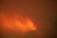 Rogue River-Siskiyou National Forest Biscuit Fire. Original public domain image from Flickr