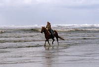 Horseback riding at Oregon Dunes National Recreation Area, Siuslaw National ForestRecreation horseback riding at Oregon Dunes National Recreation Area, Siuslaw National Forest. Original public domain image from Flickr