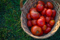 Jason Grimm started his farm enterprise, Grimm Family Farm in 2011, and manages his enterprises while farming alongside his family near North English, Iowa.