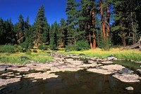Ochoco National Forest Upper Crooked River. Original public domain image from Flickr