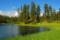 Walton Lake, Ochoco National Forest. Original public domain image from Flickr