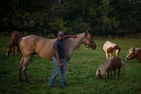 Living with his uncle in Runnels, Iowa, D’Quinton Robertson raises horses, chickens and a sheep.