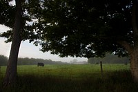 James Matheny (Army National Guard) and his wife operate Stone Wall Angus LLC, in Fairplay, Md. where he markets his grain fed beef directly to the public from his 60-acre farm.