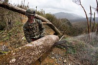 A U.S. Marine with Battalion Landing Team 2nd Battalion, 6th Marine Regiment, 26th Marine Expeditionary Unit (MEU), uses a chainsaw to cut a tree blocking a road as part of Hurricane Maria relief efforts in Ceiba, Puerto Rico, Sept. 27, 2017.