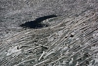 Massive timber blowdown around Boot Lake result of May 18th eruption Mt St Helens. Original public domain image from Flickr