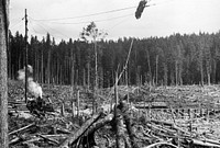 Early day railroad logging. Original public domain image from Flickr