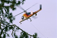 Rogue River-Siskiyou National Forest, Biscuit Fire. Original public domain image from Flickr