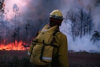 Malheur National Forest. Pine Springs fire. Original public domain image from Flickr