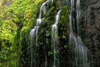 Mt Hood National Forest, spring, Salmon River. Original public domain image from Flickr