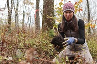 Sue Cameron plants a tree. Original public domain image from Flickr