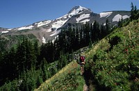 Recreation, hiking backpacking near Elk Cove on Timberline Trail, Mt Hood National Forest. Original public domain image from Flickr