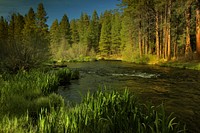 Deschutes National Forest Metolius River. Original public domain image from Flickr