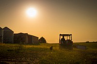 With his dog Ginger keeping a keen eye on the operations, Jason Grimm's feeds his chickens on his farm, Grimm Family Farm in 2011, where he manages his enterprises while farming alongside his family near North English, Iowa.