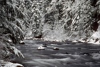 Salmon River Mt Hood National Forest. Original public domain image from Flickr