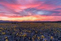 The Bureau of Land Management photo. Original public domain image from Flickr