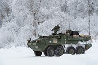 Soldiers assigned to Bayonet Company, 1st Battalion, 5th Infantry Regiment, 1st Stryker Brigade Combat Team, 25th Infantry Division, U.S. Army Alaska, prepare for live-fire gunnery training during Operation Punchbowl at Joint Base Elmendorf-Richardson, Alaska, Feb. 16, 2018. Operation Punchbowl was a battalion-level, combined arms, live-fire exercise that focused on arctic lethality. (U.S. Air Force photo by Alejandro Peña). Original public domain image from Flickr