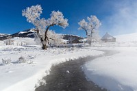 -20F at the Lamar Buffalo Ranch. Original public domain image from Flickr