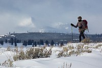 Skiing on Blacktail Deer Plateau. NPS / Neal Herbert. Original public domain image from Flickr