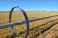 Harvested wheatfield with wheel line irrigation system near Manhattan, Montana, September 2014. Original public domain image from Flickr