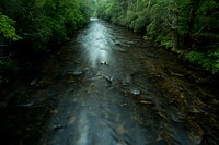 A morning river scene in the Davidson River Campground, Pisgah National Forest, NC, July 29, 2017. (USDA Photo by Lance Cheung). Original public domain image from Flickr