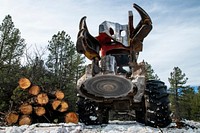 James Perkins of Perkins Timber Harvesting (the awarded contractor for the Isham timber sale) operates a feller buncher to remove unmarked trees for the U.S. Department of Agriculture (USDA) Forest Service (FS) Kaibab National Forest, Williams Ranger District's Isham Task Order, in Arizona, on December 4, 2018.