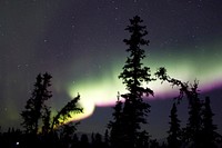 Aurora Borealis, Chena Hot Springs near Fairbanks, Alaska. Original public domain image from Flickr
