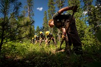 Members of the Montana Conservation Corps clear trails near Hilltop Campground in the Beaverhead-Deerlodge National Forest.