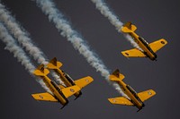 The Canadian Harvard Aerobatic Team performs at the EAA AirVenture Oshkosh, Wisconsin.USDA Photo by Preston Keres. Original public domain image from Flickr