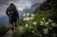 Death Camas and a hiker. Original public domain image from Flickr
