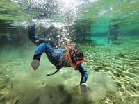 Children participate in snorkeling activities at the Alexander Springs Recreation Area, Ocala National Forest, Florida. (Forest Service photo by Brandon Fair). Original public domain image from <a href="https://www.flickr.com/photos/usforestservice/42280444492/" target="_blank">Flickr</a>