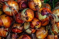 Corona Farmers Market in Queens, New York is one of the most dynamic and diverse farmers markets in the city and is steps off the subway and mass transit system for the city.USDA Photo by Preston Keres. Original public domain image from Flickr