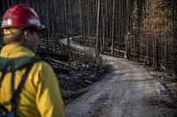 2018 Howe Ridge Fire. Original public domain image from Flickr