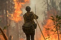 Chumash Engine 802 crew member cooling the fire&#39;s edge during a burn operation on Henness Ridge. Ferguson Fire, Sierra NF, CA, 2018. Original public domain image from <a href="https://www.flickr.com/photos/usforestservice/43061212325/" target="_blank">Flickr</a>