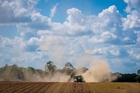 Workers harvest peanuts for Rick Davis Farms outside of Quitman, Georgia.